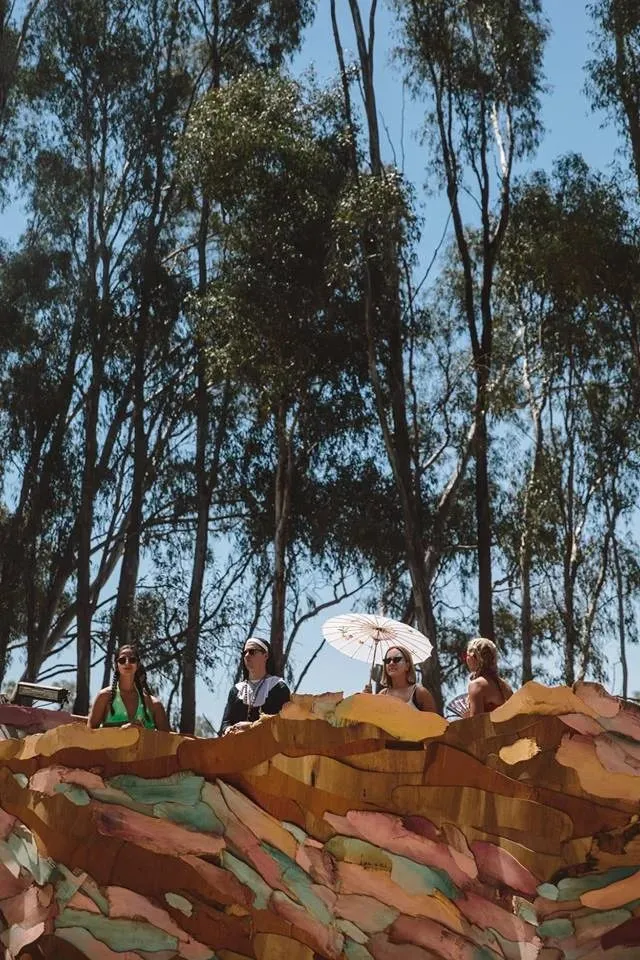 Deep Jungle — festival stage photograph 04