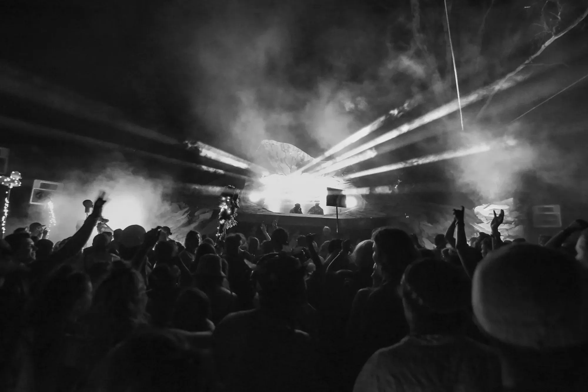 Deep Jungle — festival stage photograph 09