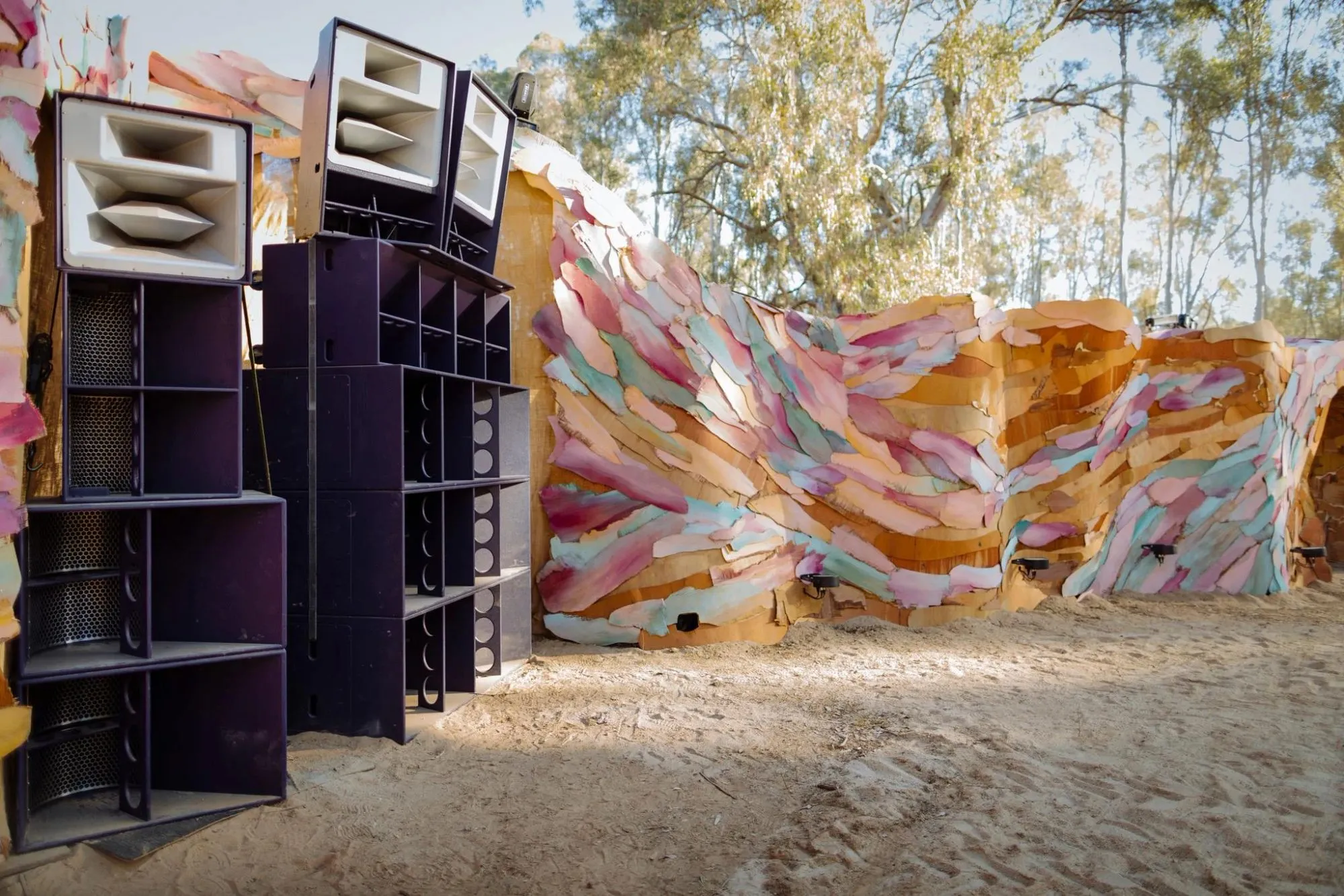 Deep Jungle — festival stage photograph 12