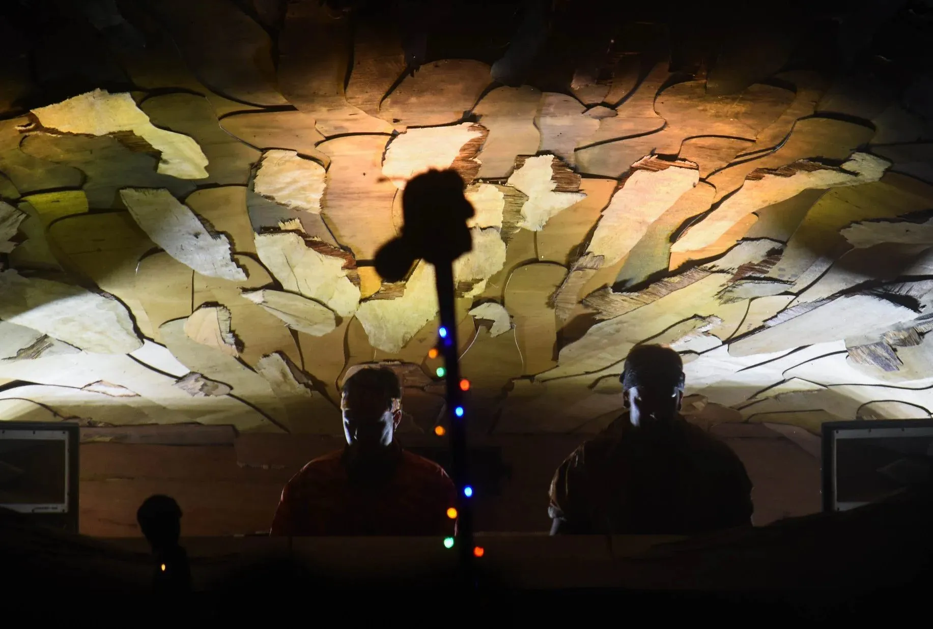 Deep Jungle — festival stage photograph 13