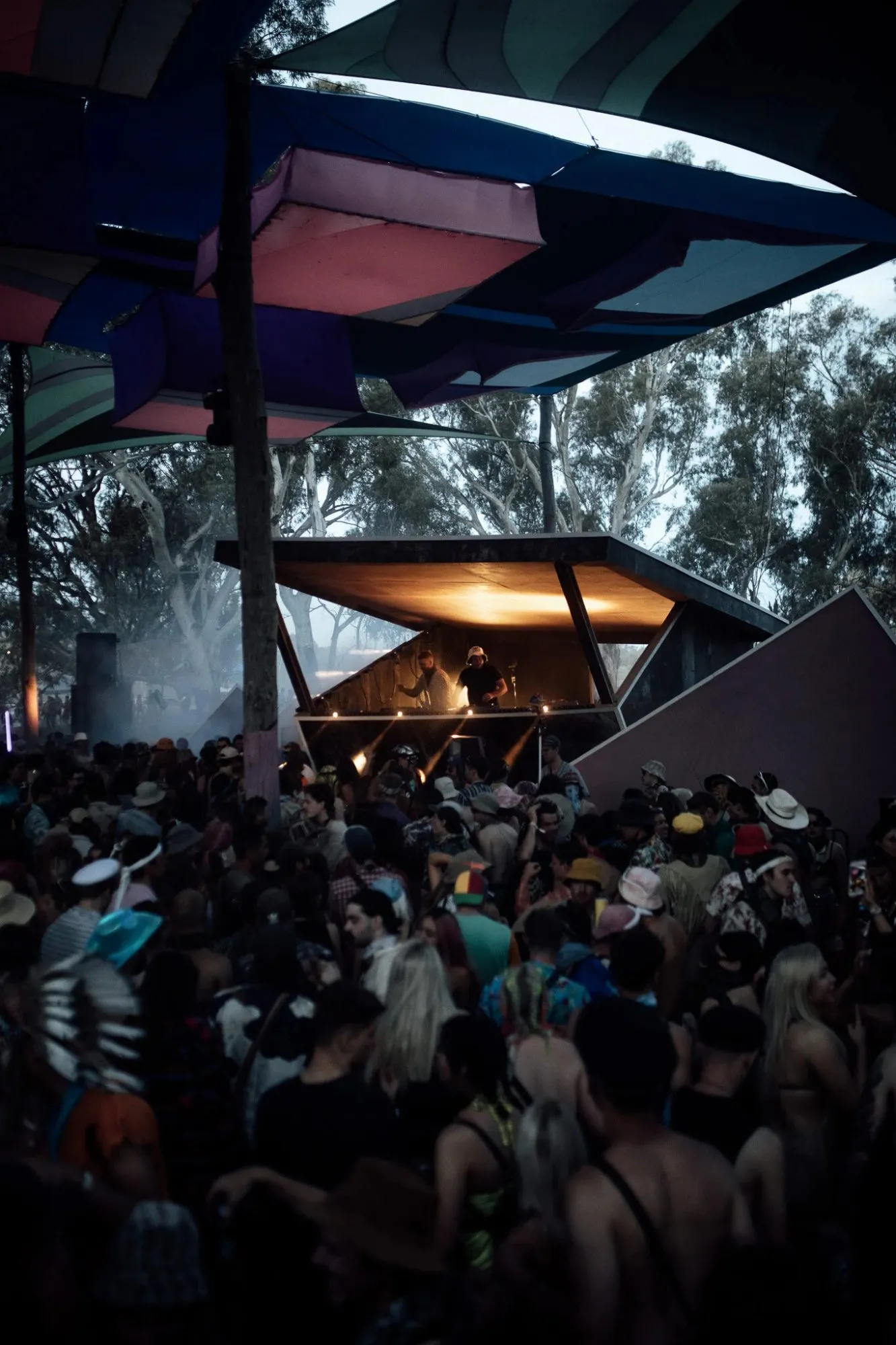 Deep Jungle — festival stage photograph 03