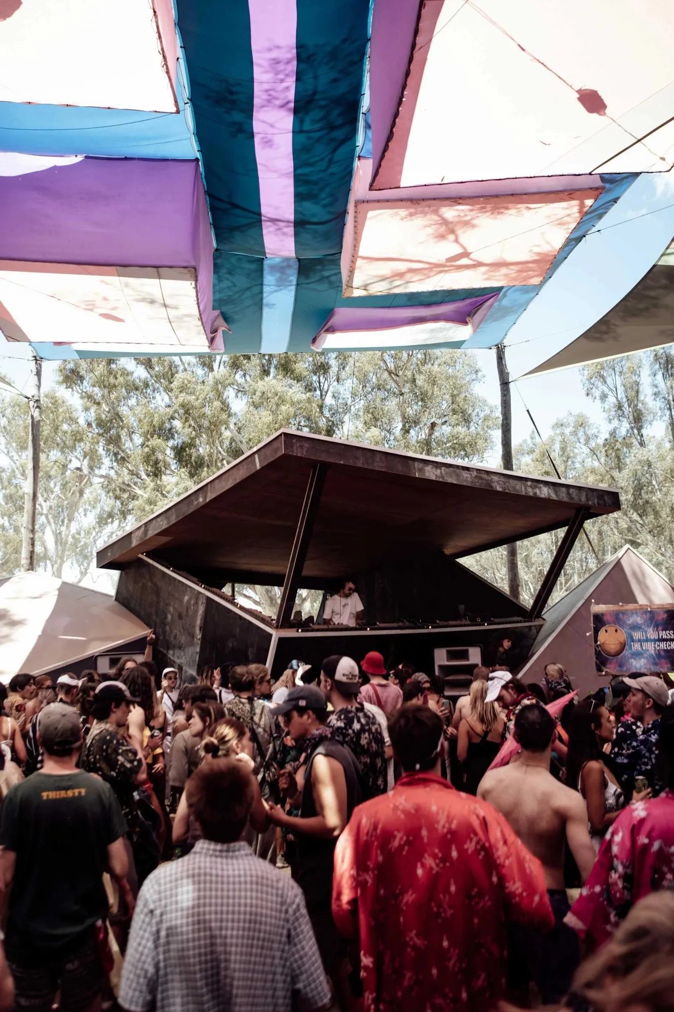 Deep Jungle — festival stage photograph 05