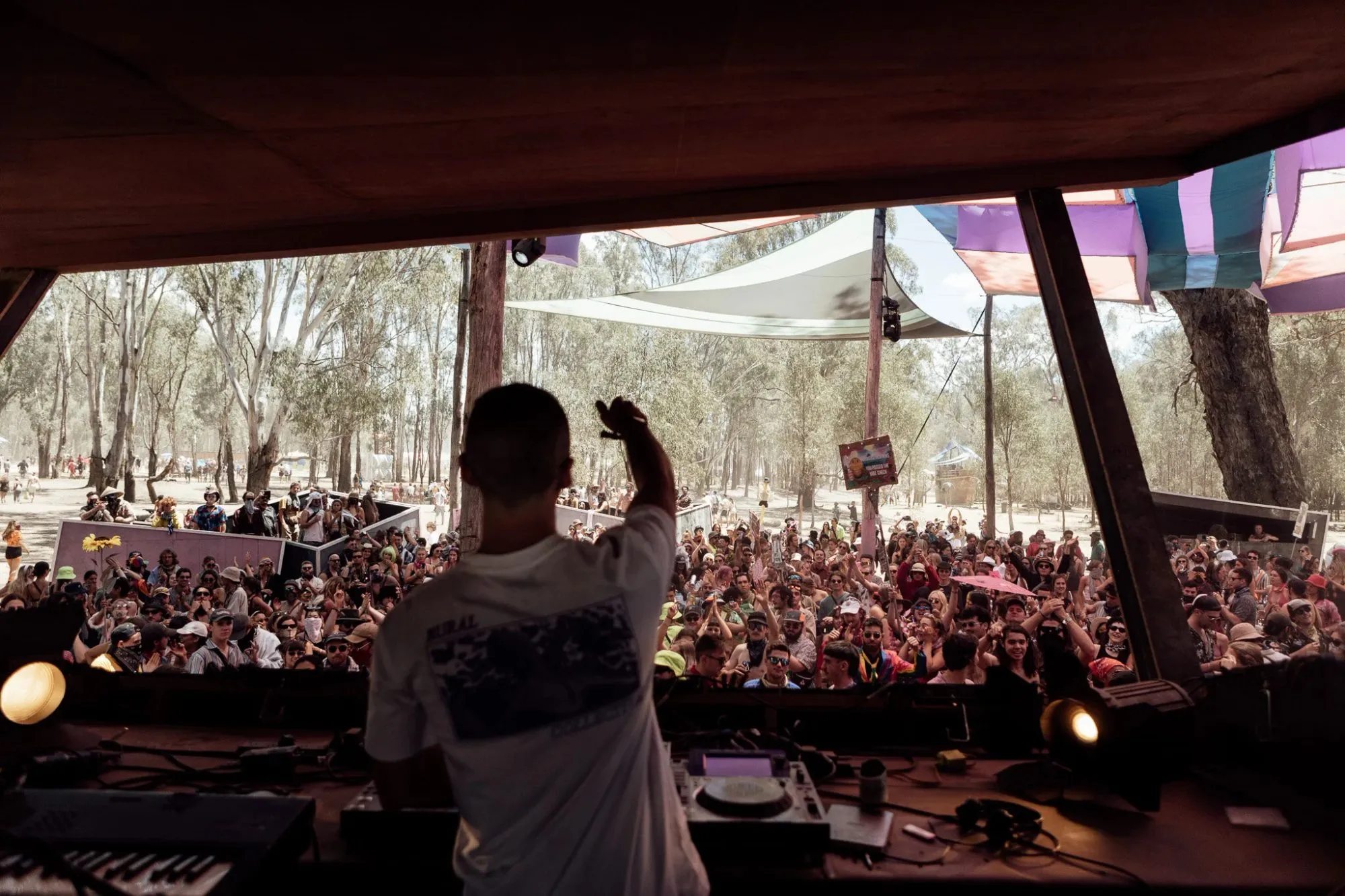 Deep Jungle — festival stage photograph 06