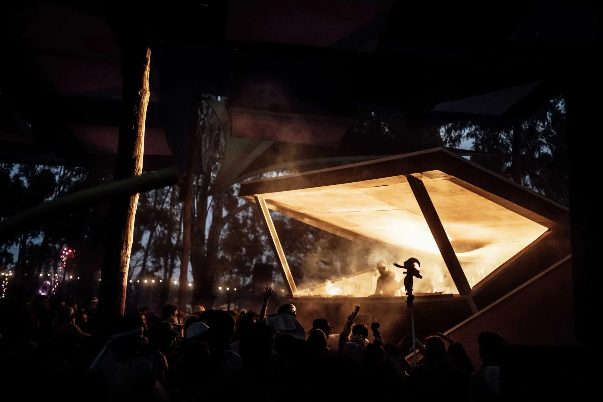 Deep Jungle — festival stage photograph 11