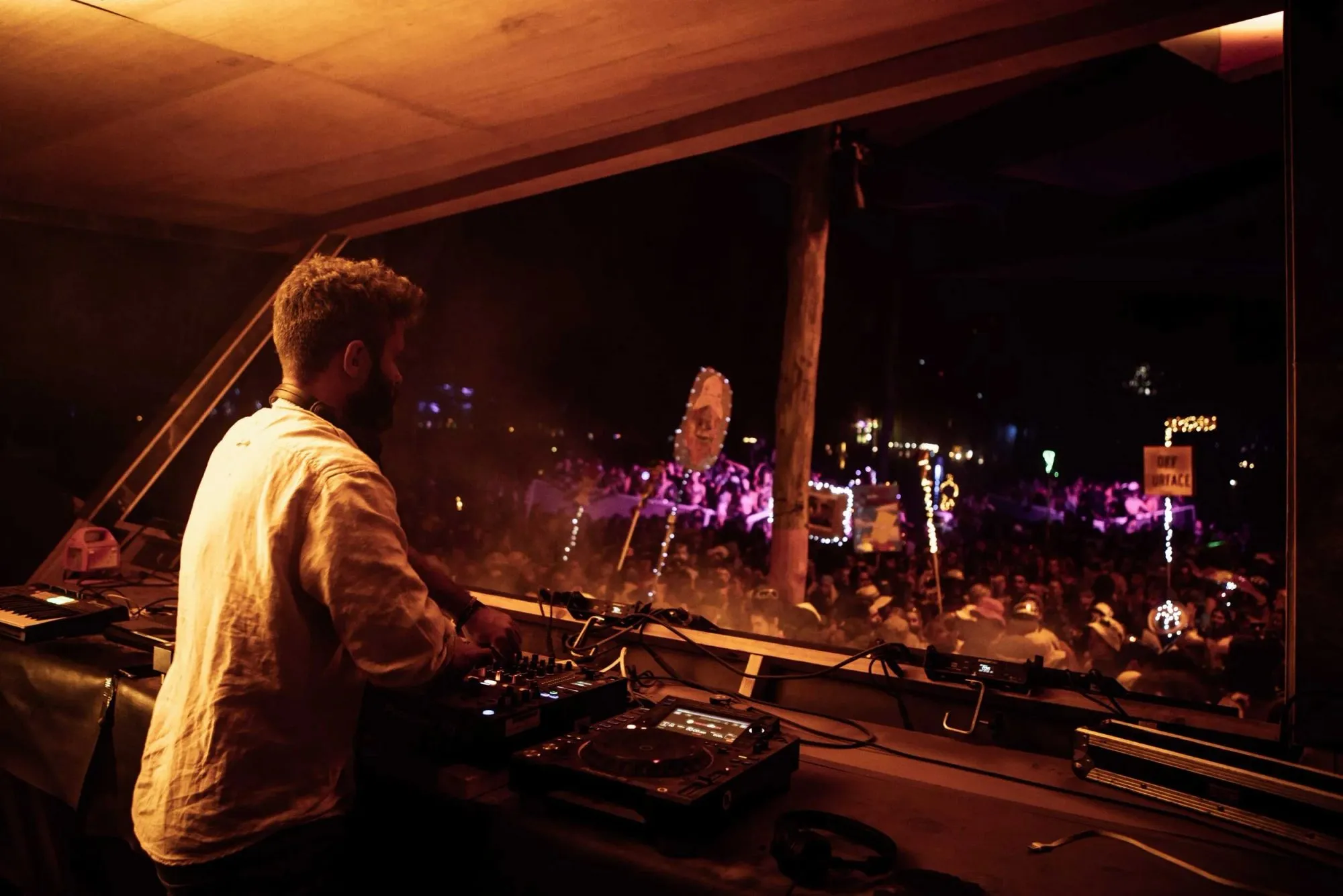 Deep Jungle — festival stage photograph 12