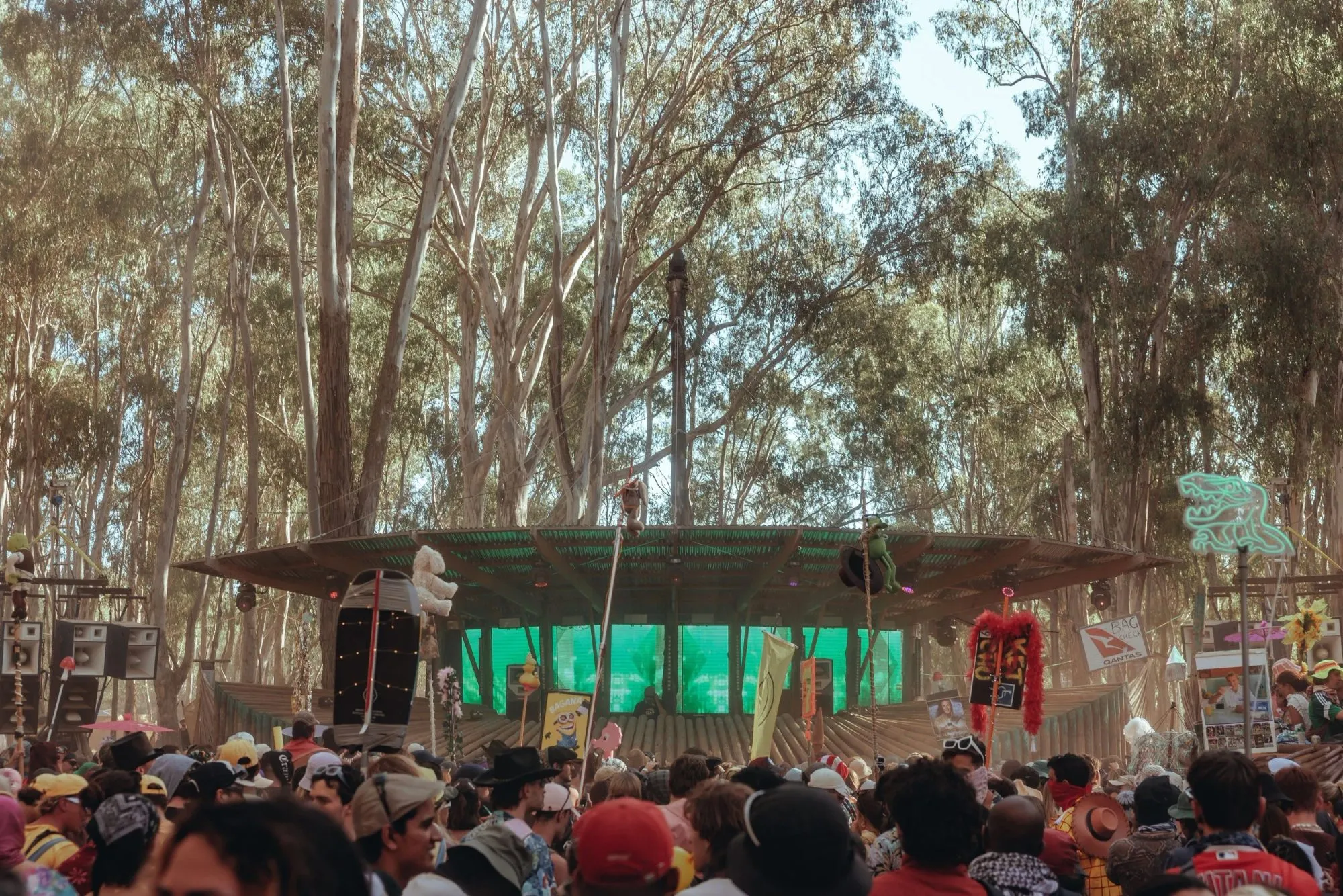 Deep Jungle — festival stage photograph 01