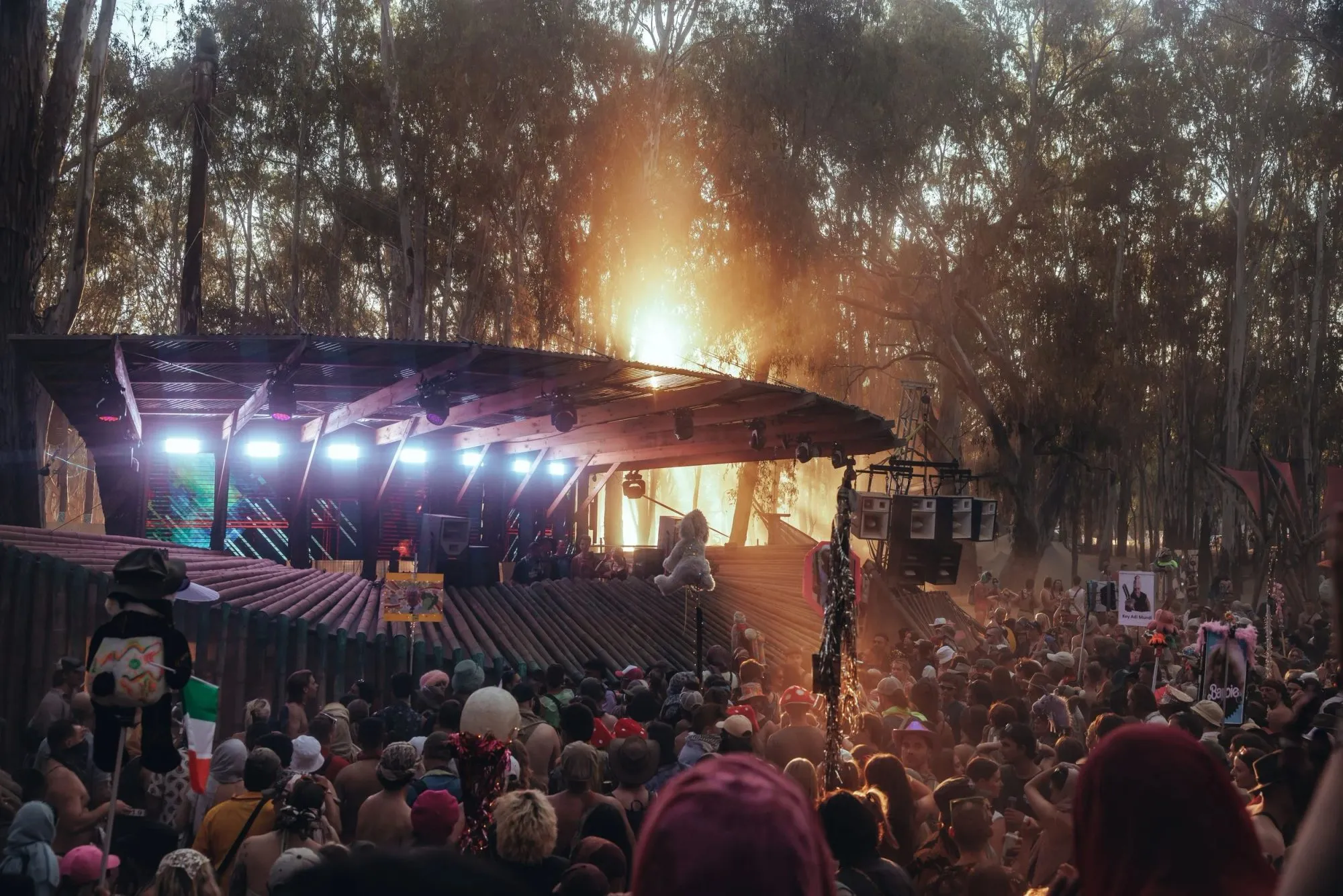 Deep Jungle — festival stage photograph 03