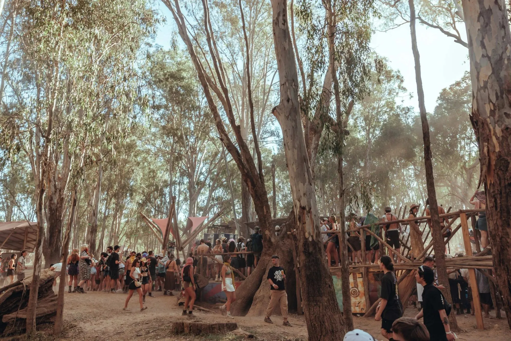 Deep Jungle — festival stage photograph 04
