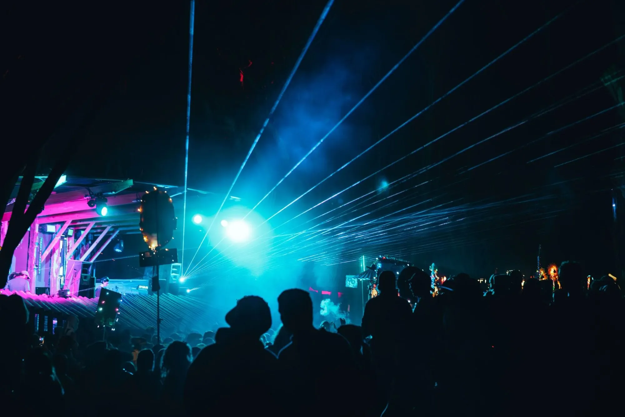 Deep Jungle — festival stage photograph 05