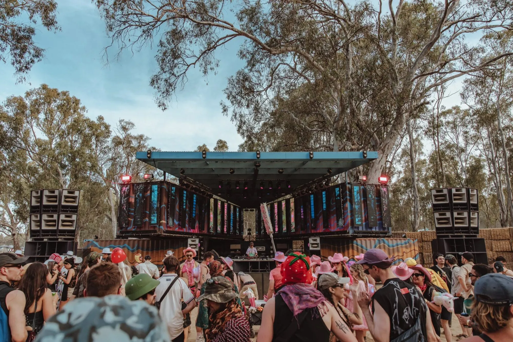 Deep Jungle — festival stage photograph 03