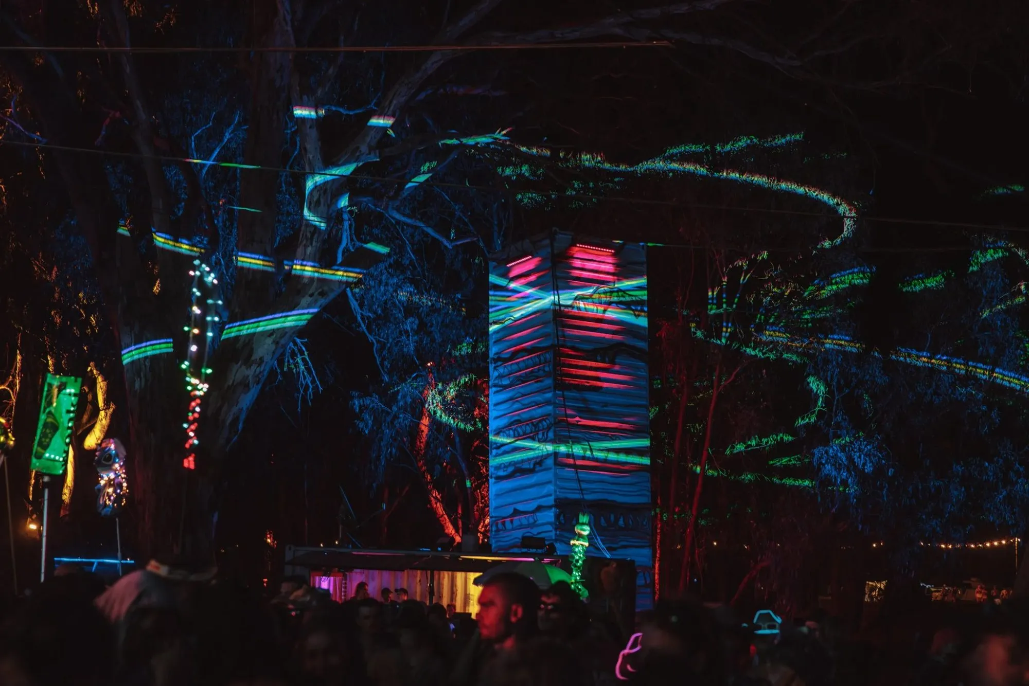 Deep Jungle — festival stage photograph 04