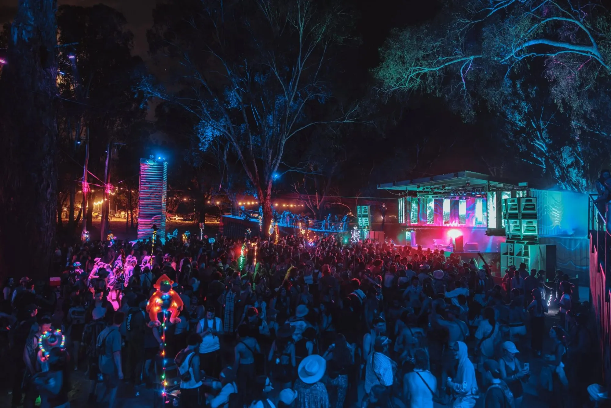 Deep Jungle — festival stage photograph 05