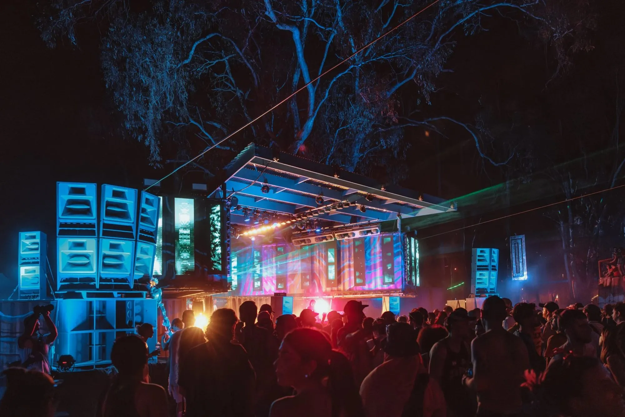 Deep Jungle — festival stage photograph 06