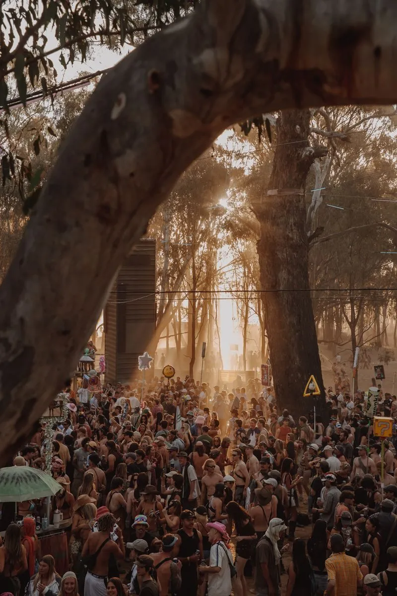 Deep Jungle — festival stage photograph 01