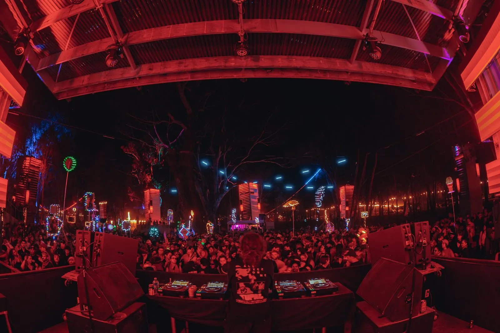 Deep Jungle — festival stage photograph 02