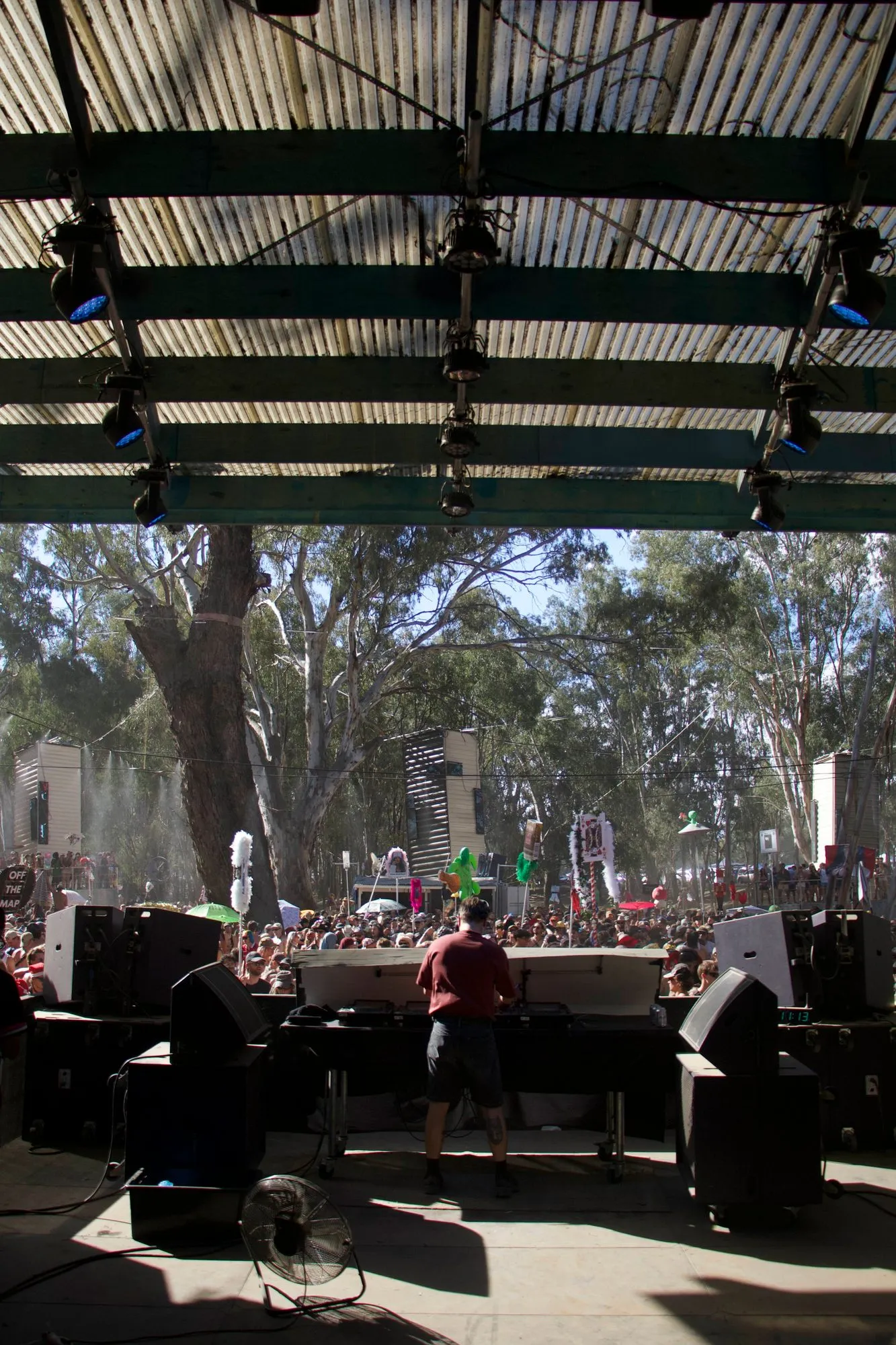 Deep Jungle — festival stage photograph 05