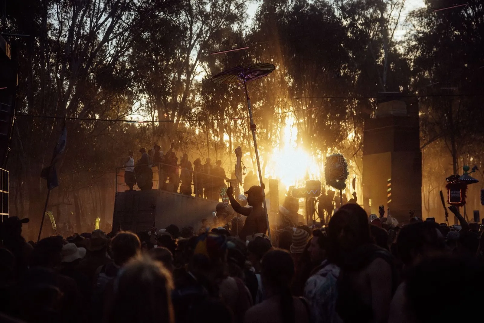 Deep Jungle — festival stage photograph 07