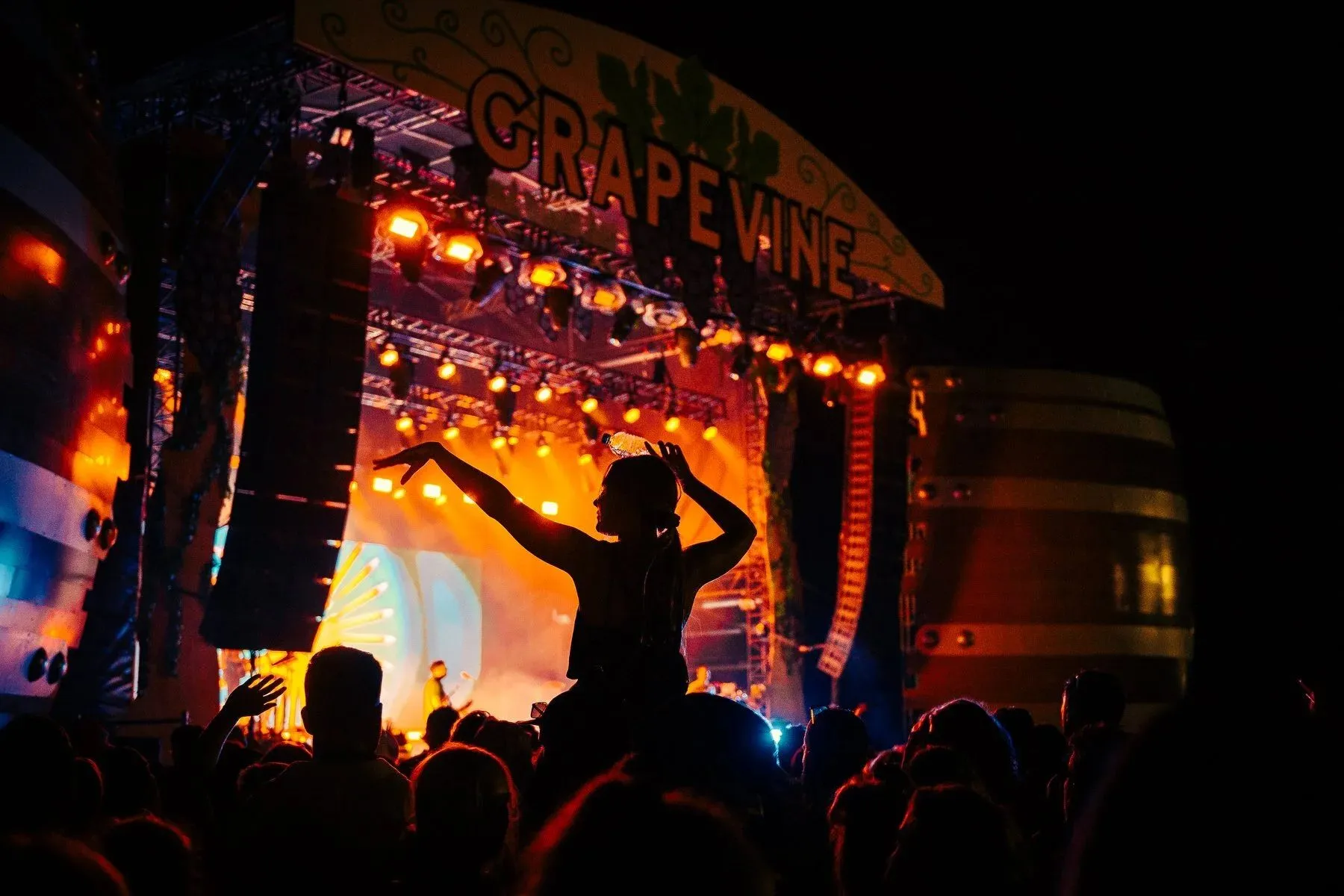 Grapevine Gathering — festival stage photograph 05