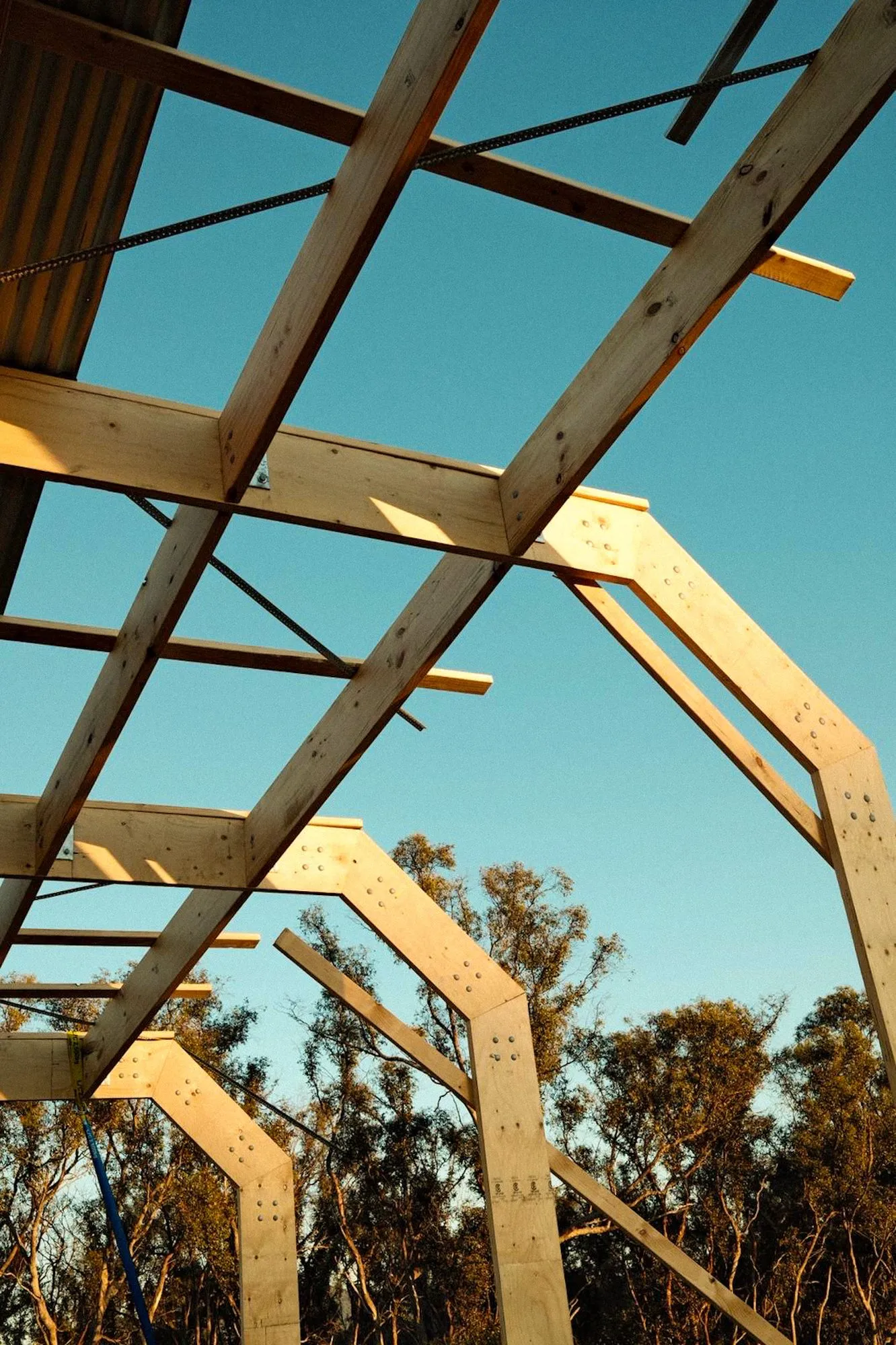 Hopkins Creek — festival stage photograph 01