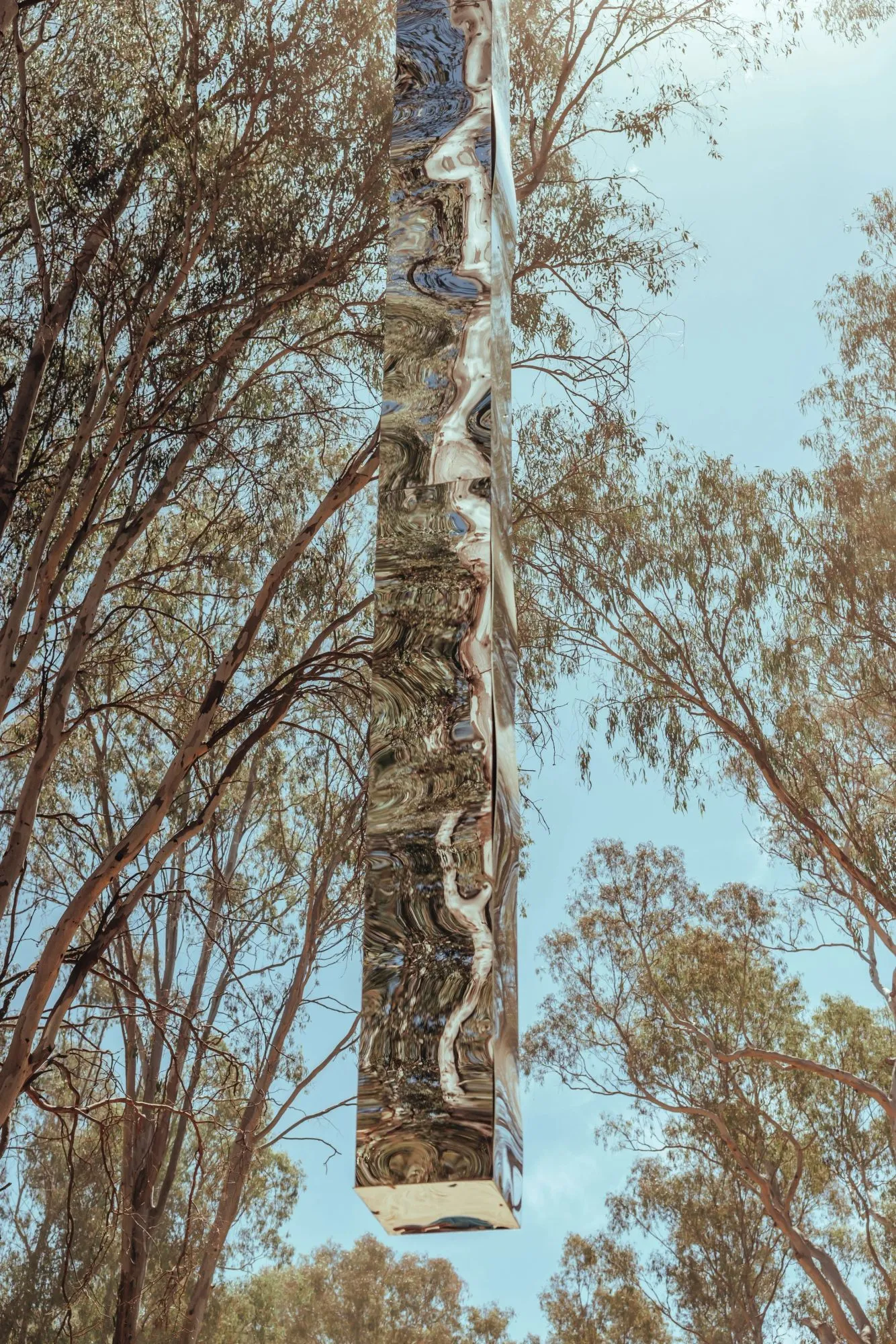 Mirror-polished column suspended among eucalypts, its surface bending reflections of bush and sky