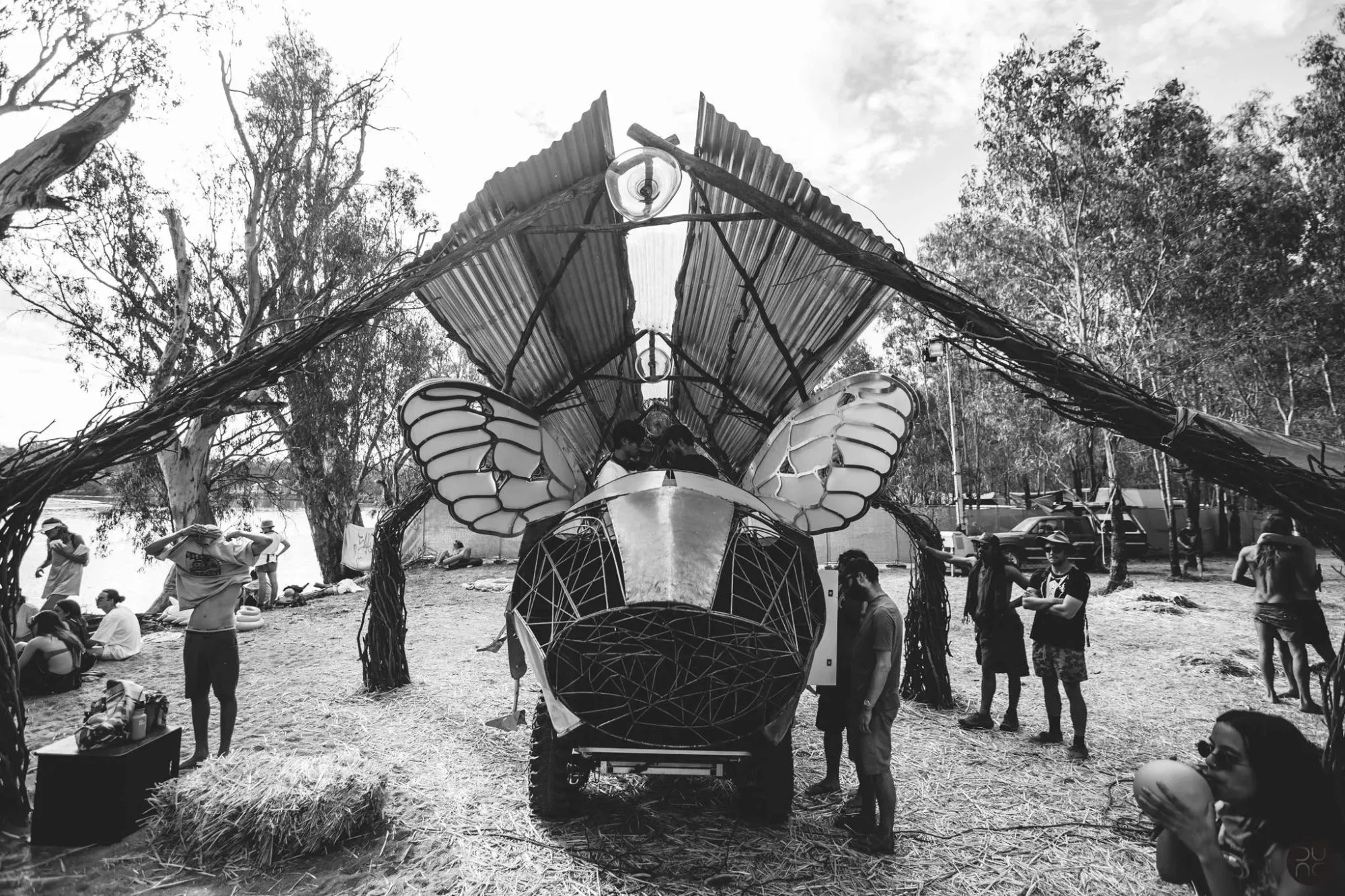 Black-and-white photograph of an insect-like sculpture with translucent wings, sheltered under a winged corrugated-iron canopy on twisted branch legs by the river